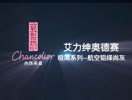 艾力绅-奥德赛航空铝绎尚灰(不锈钢)